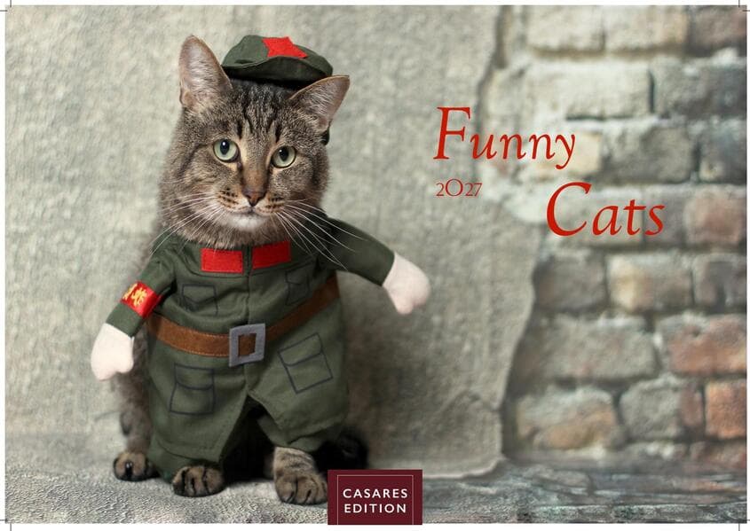 Funny Cats Kalender 2027 - Wandkalender | Fotokalender Tierkalender 24x35cm - Witziger Katzenkalender