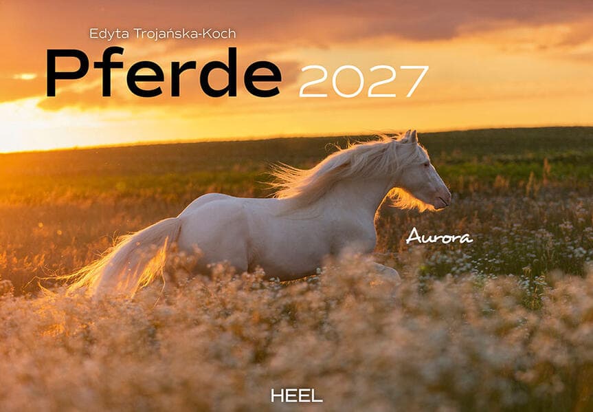Pferde Kalender 2027 Wandkalender