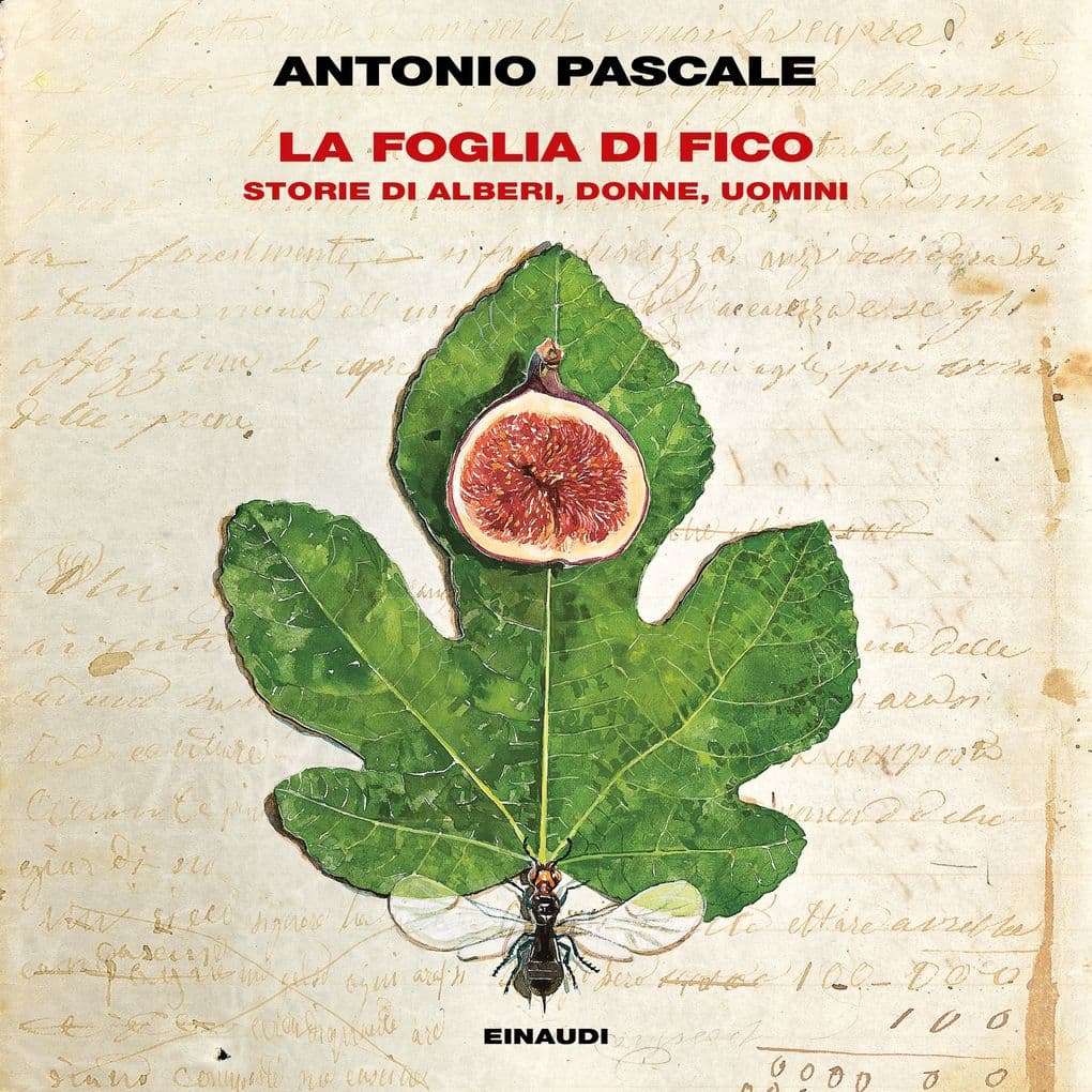 La foglia di fico