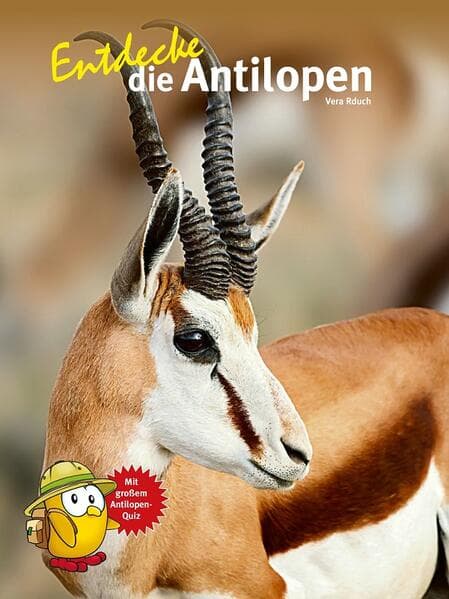 Entdecke die Antilopen