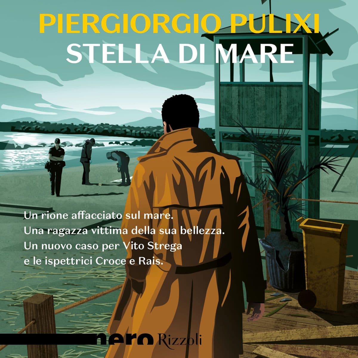 Stella di mare