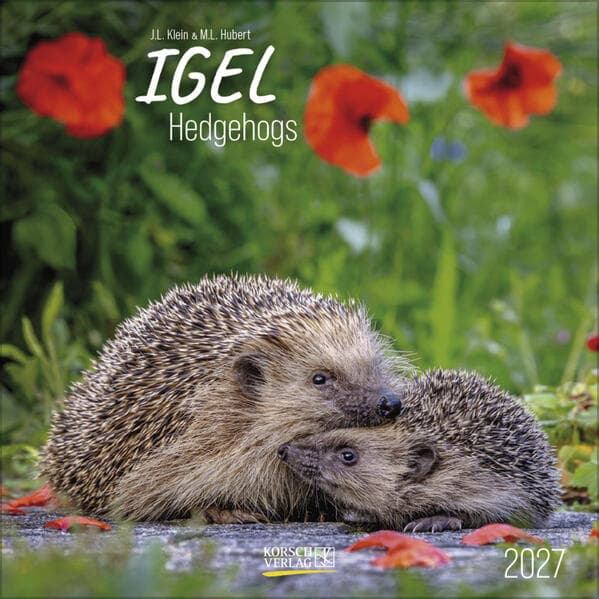 Igel 2027