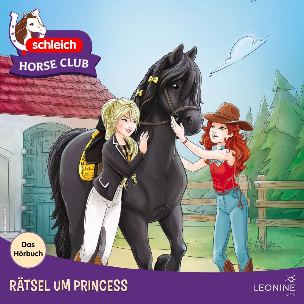 Rätsel um Princess - Das Hörbuch