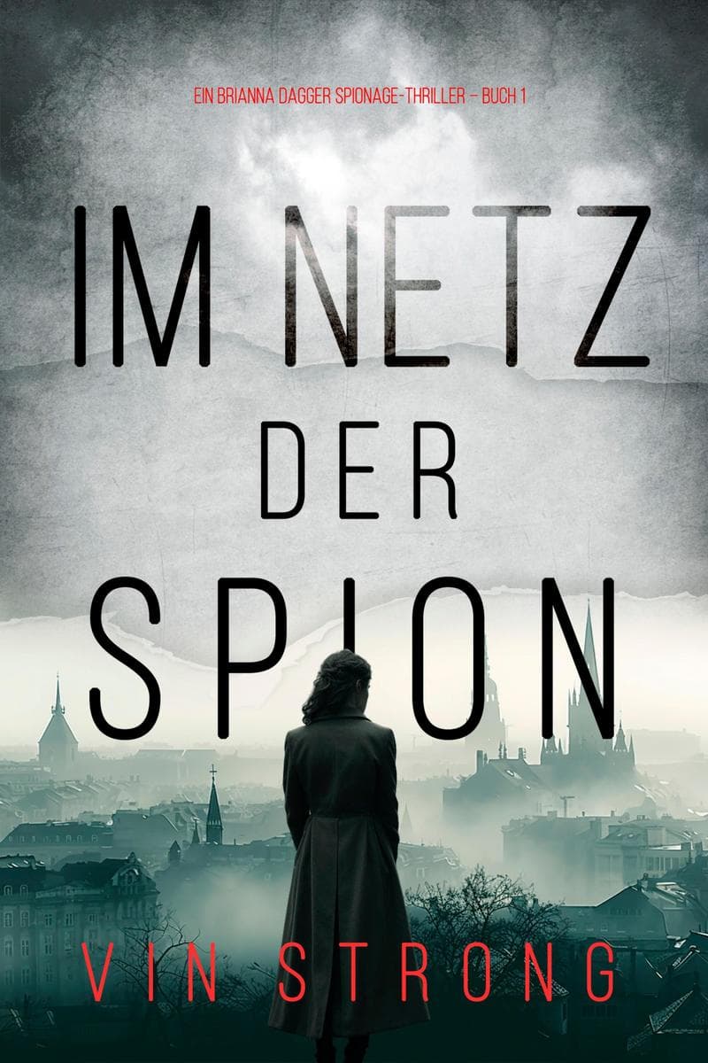 Im Netz der Spione (Ein Brianna Dagger Spionage-Thriller - Buch 1)