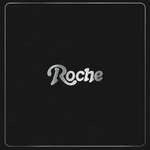 Back To The Groove - Roche Musique