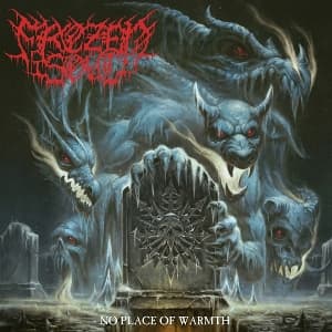 No Place of Warmth (black LP)