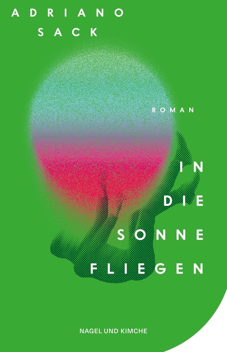 In die Sonne fliegen