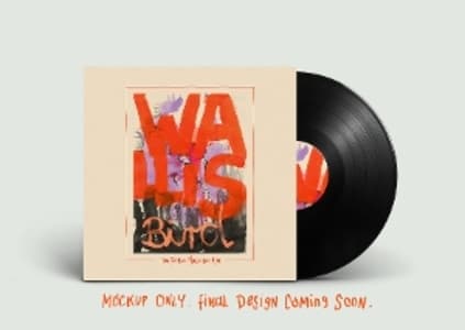 I Can See Your House From Here (Vinyl)