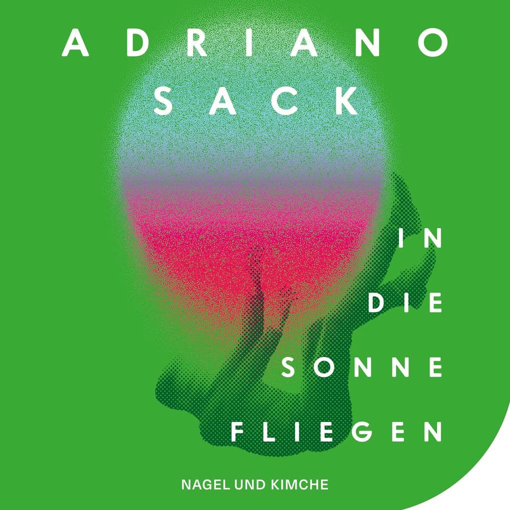 In die Sonne fliegen