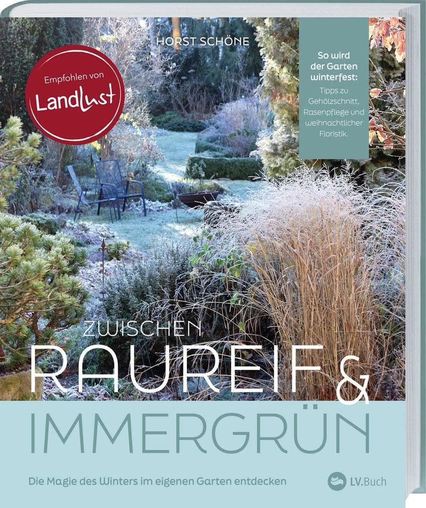 Zwischen Raureif und Immergrün