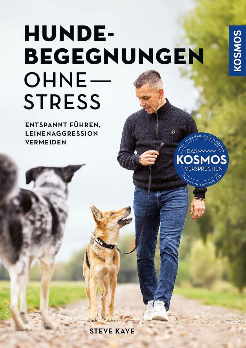 Hundebegegnungen ohne Stress