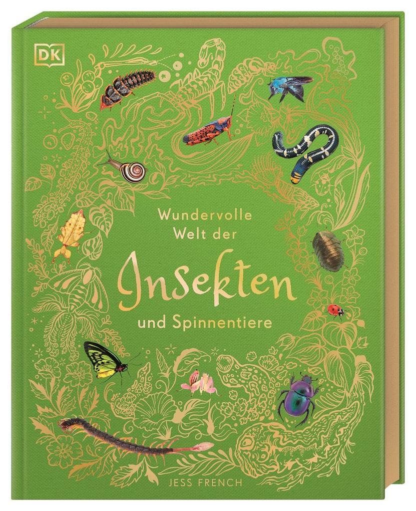 Wundervolle Welt der Insekten und Spinnentiere