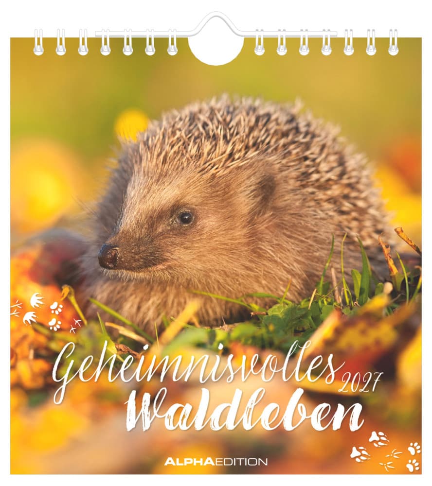Geheimnisvolles Waldleben 2027