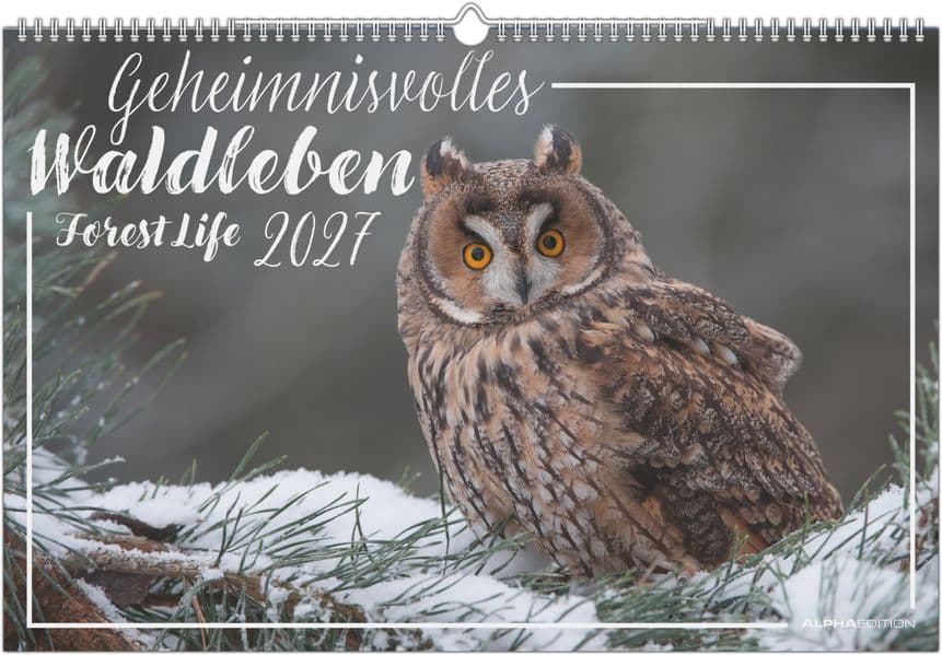 Geheimnisvolles Waldleben 2027