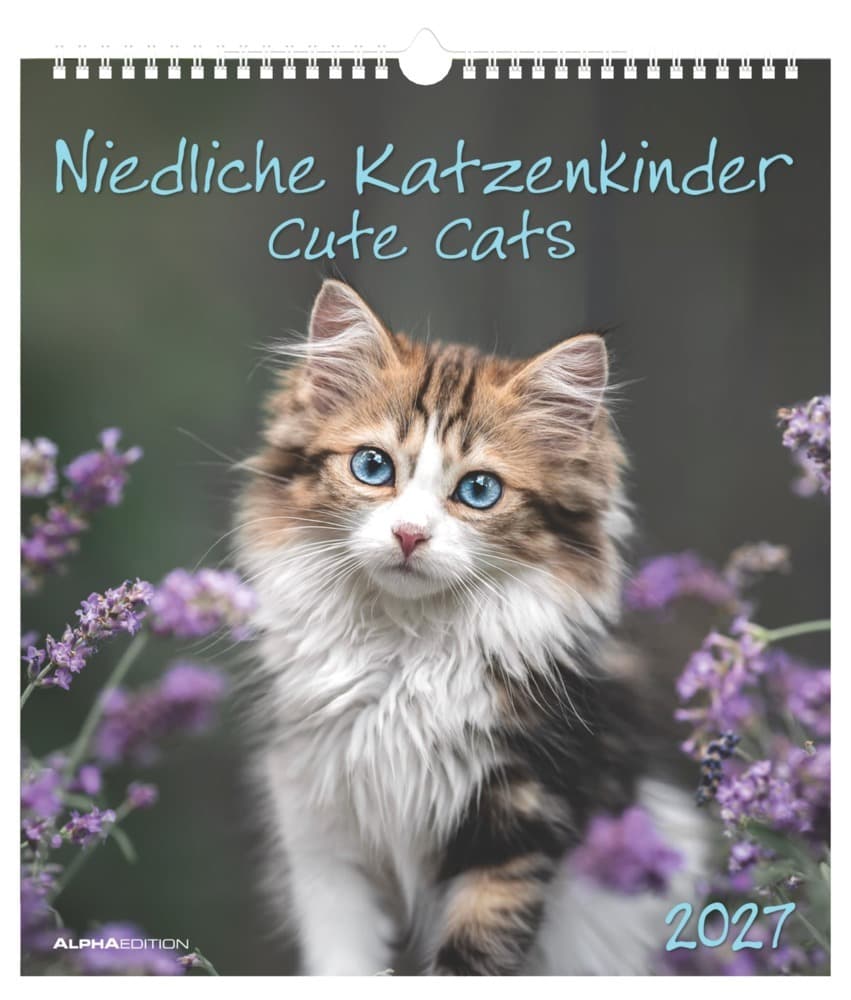 Niedliche Katzenkinder 2027