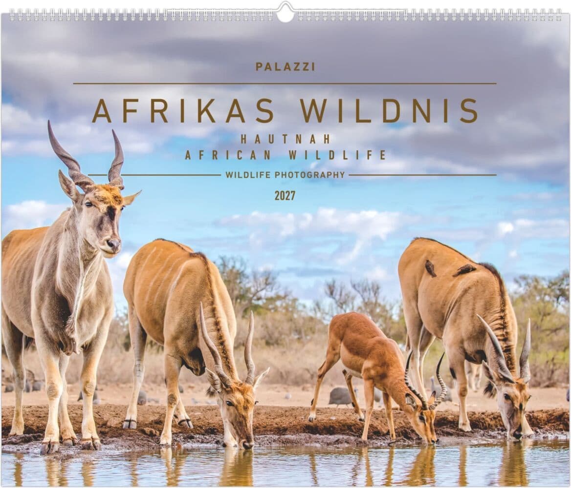 Hautnah - Afrikas Wildnis 2027
