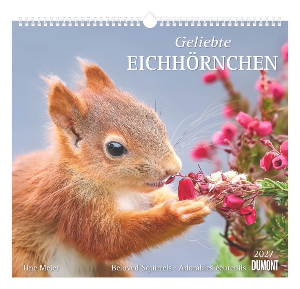 Geliebte Eichhörnchen 2027