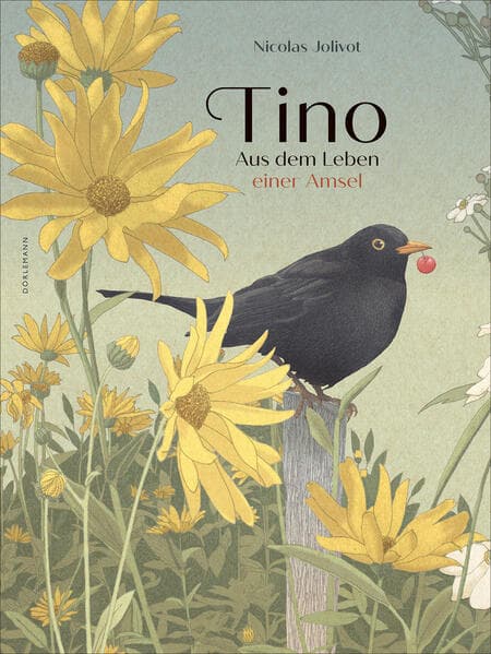 Tino