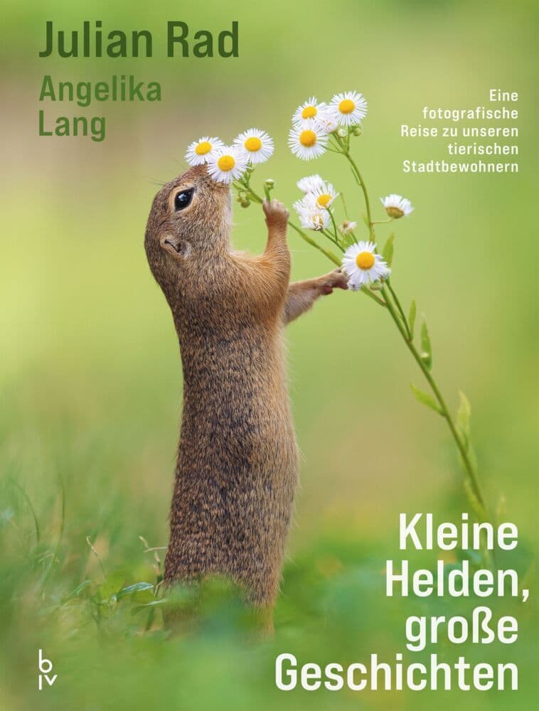Kleine Helden - große Geschichten
