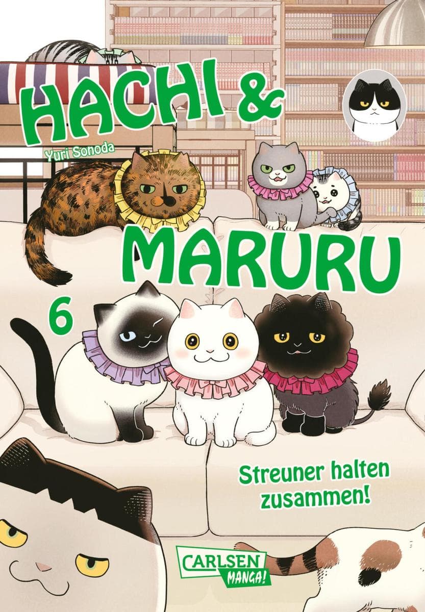 Hachi & Maruru - Streuner halten zusammen! 6