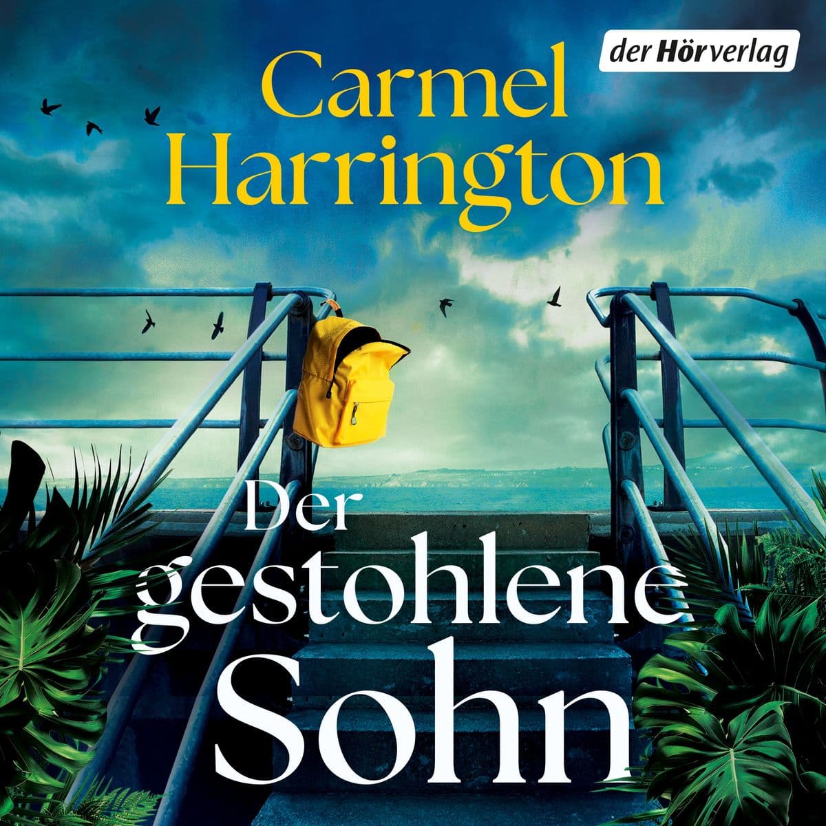 Der gestohlene Sohn