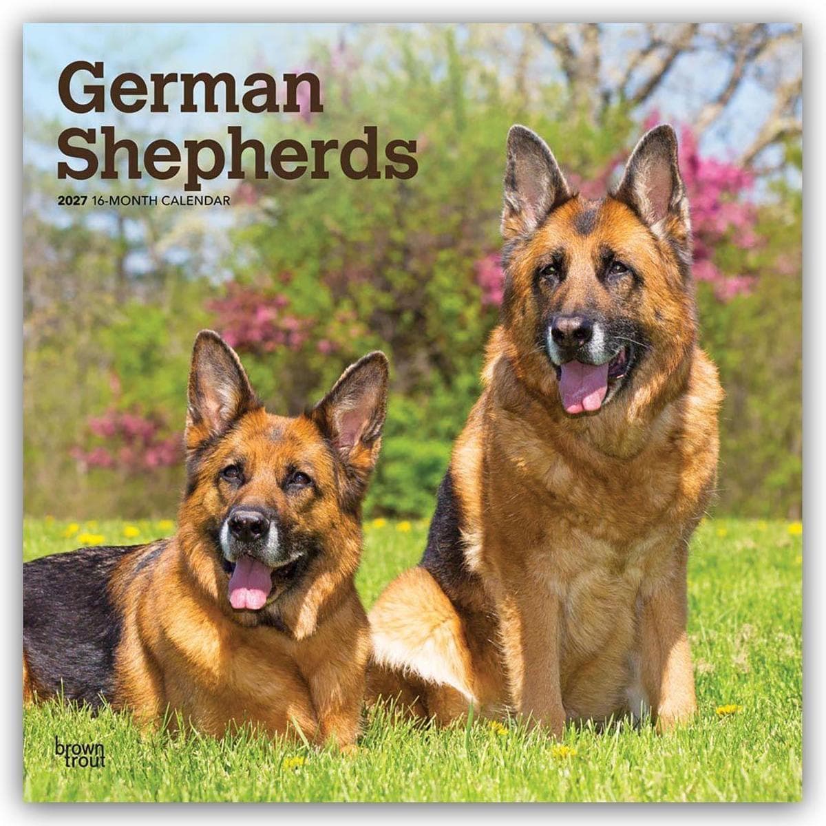 German Shepherds - Deutsche Schäferhunde 2027 - 16-Monatskalender