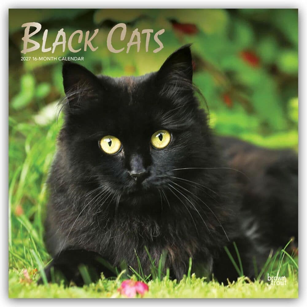 Black Cats - Schwarze Katzen 2027 - 16-Monatskalender
