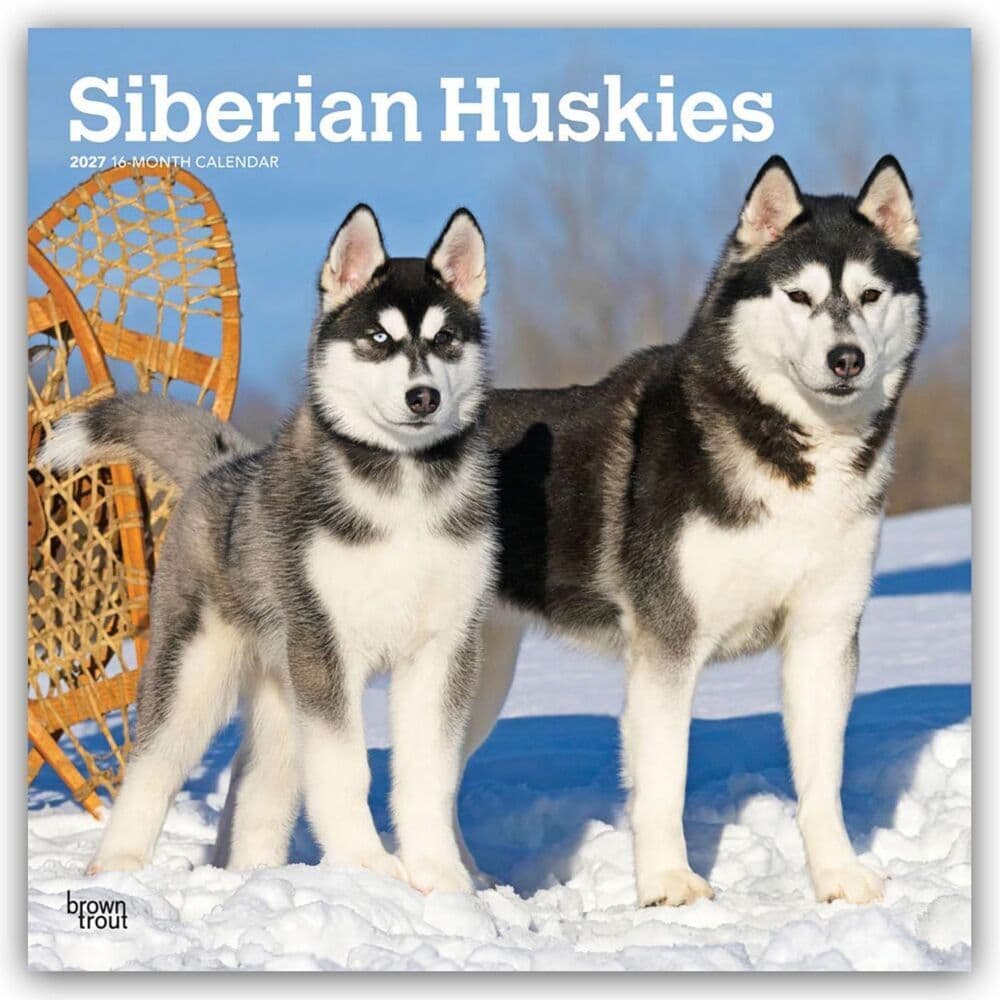 Siberian Huskies - Siberian Husky 2027 - 16-Monatskalender