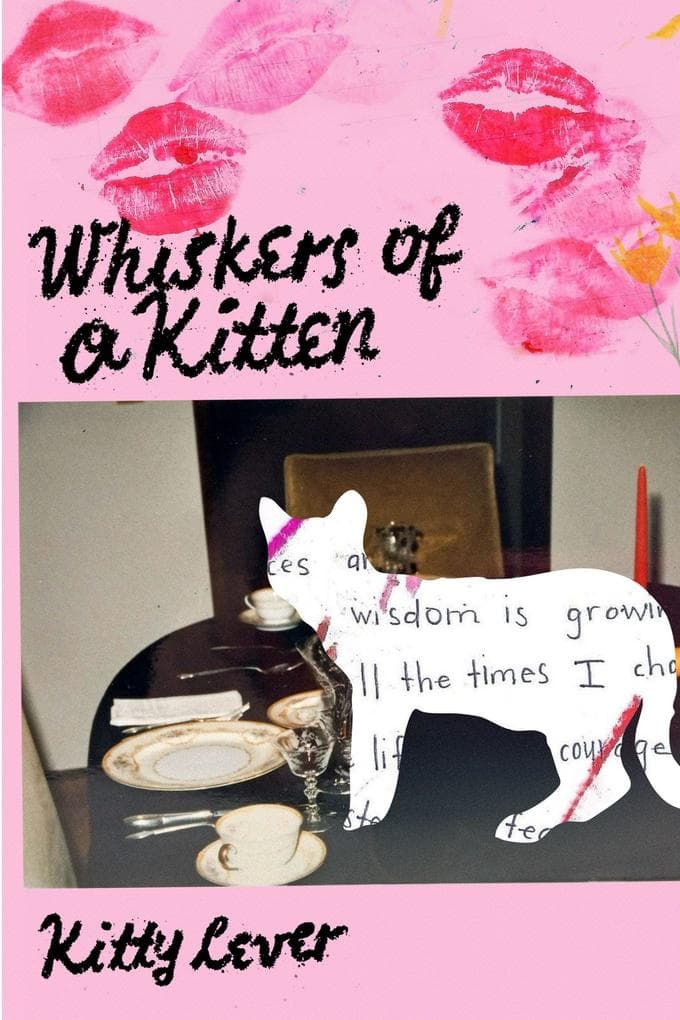 Whiskers of a Kitten