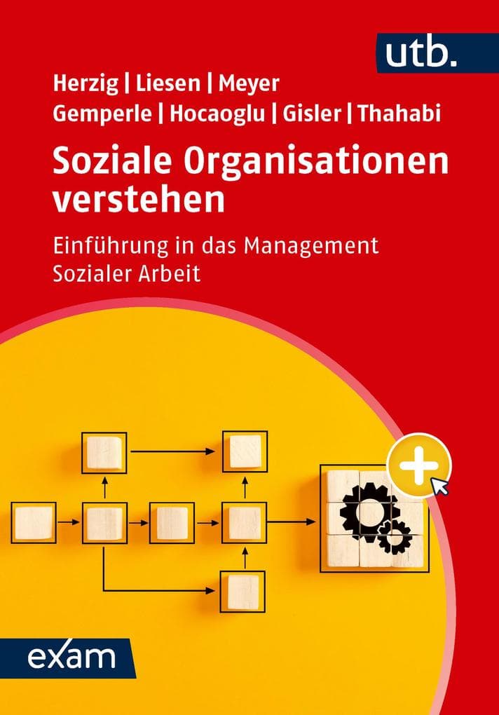 Soziale Organisationen verstehen