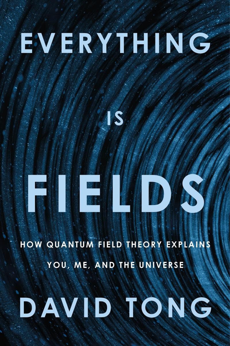 Everything Is Fields