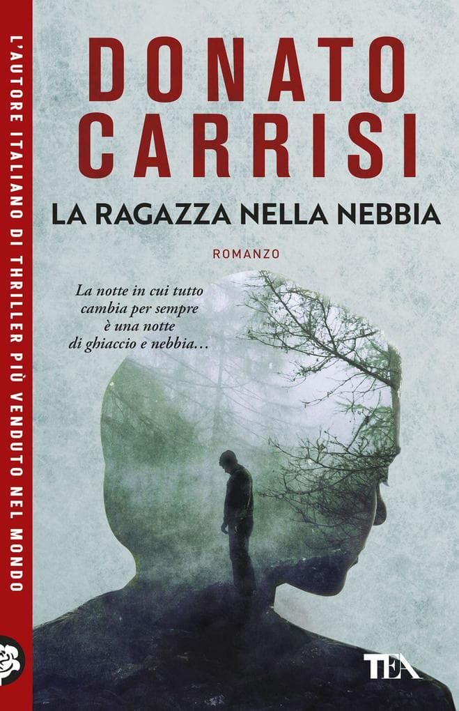 La ragazza nella nebbia