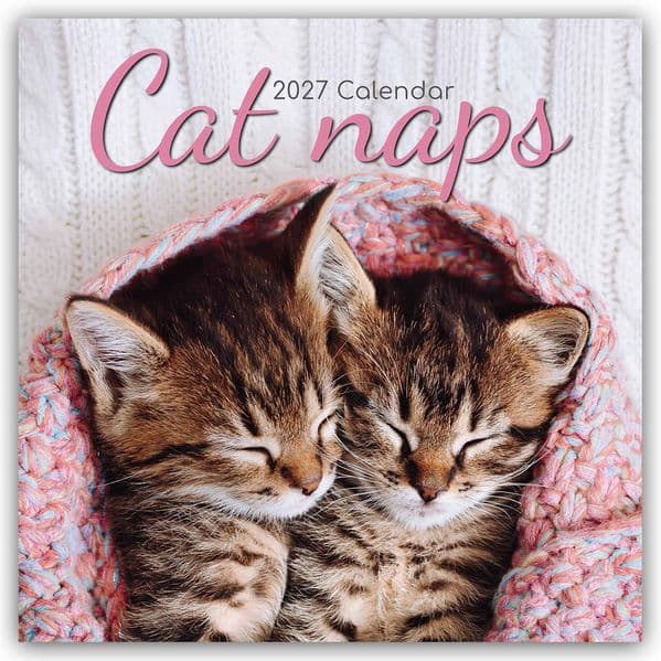 Cat Naps - Träumende Katzen 2027 - 16-Monatskalender
