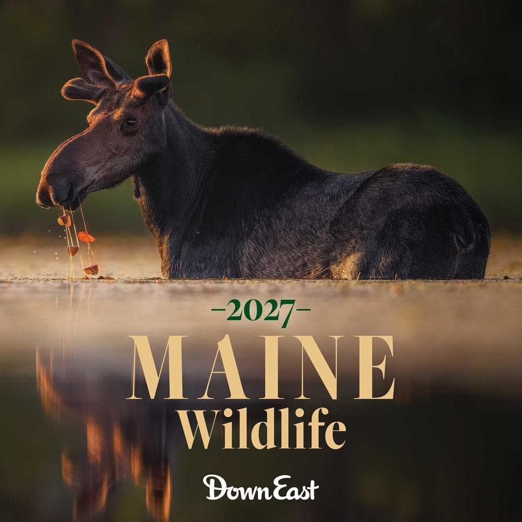 2027 Maine Wildlife Wall Calendar