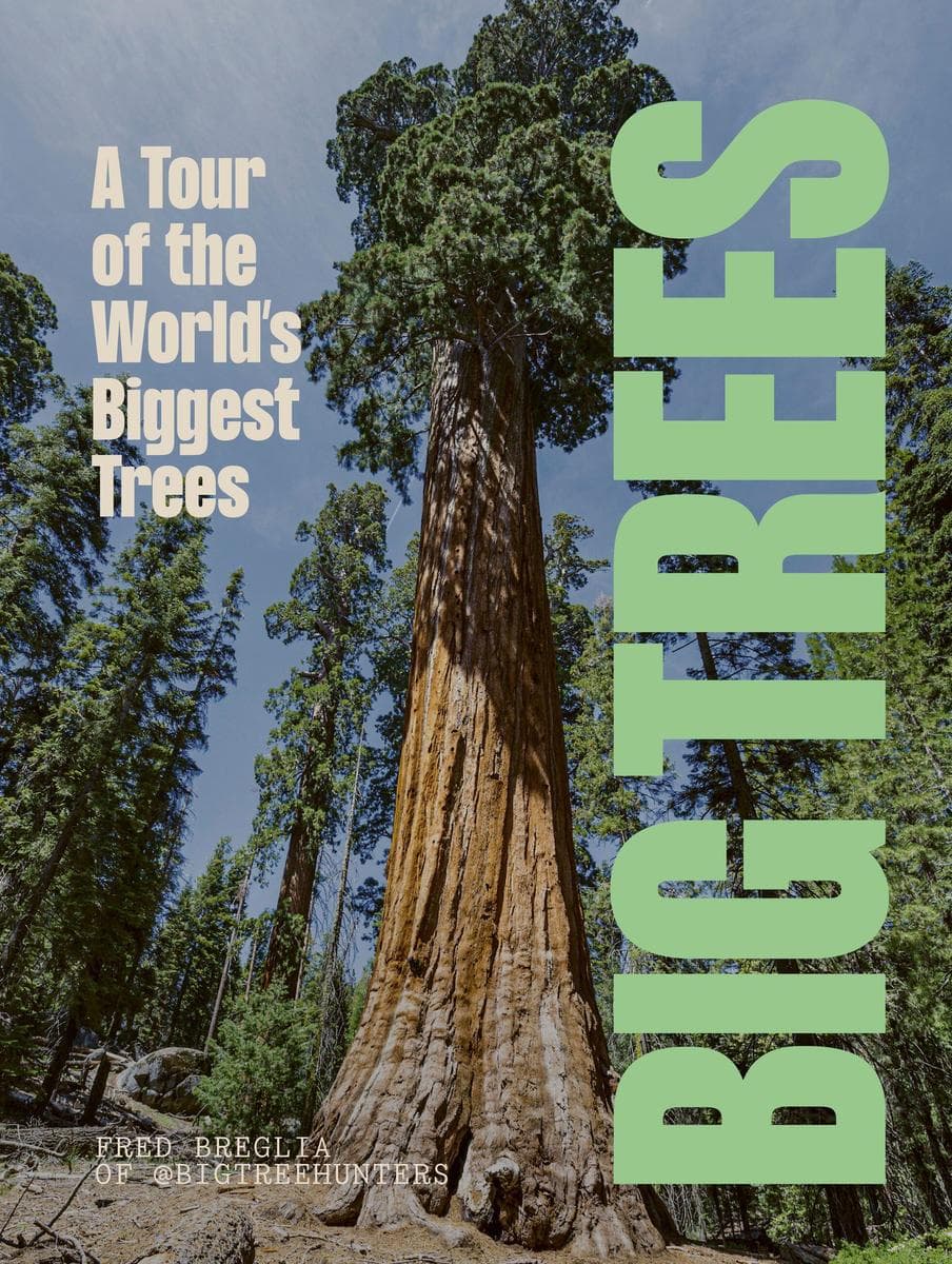 BIG TREES