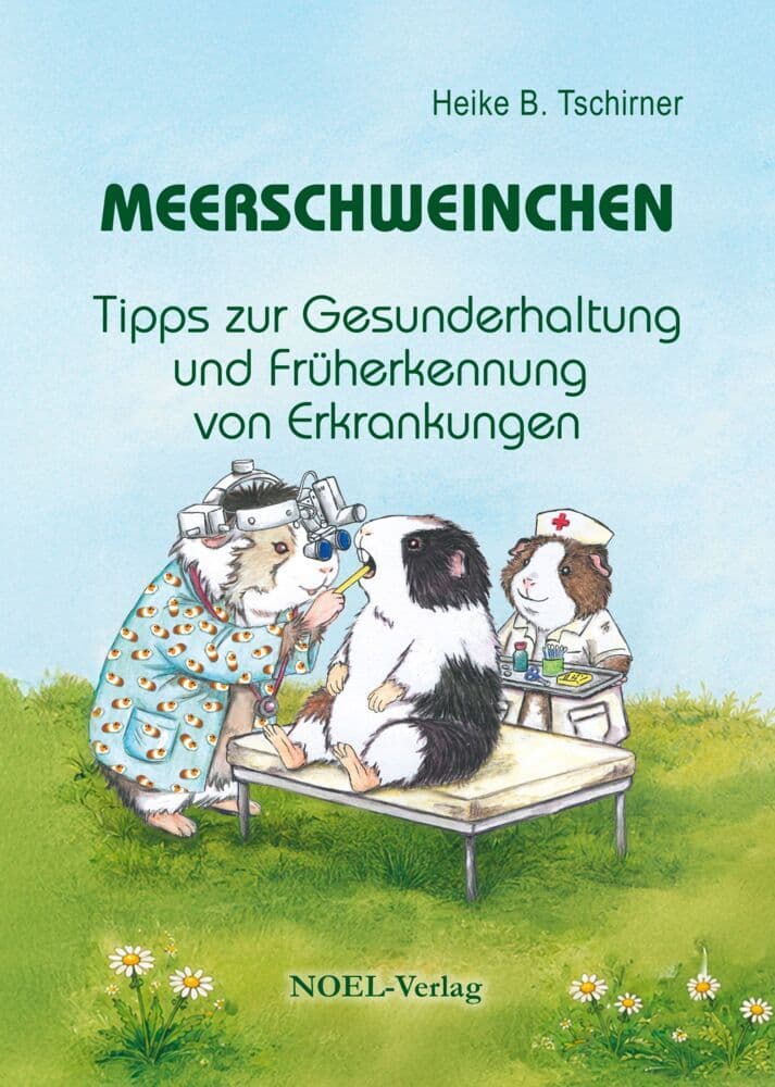 Meerschweinchen