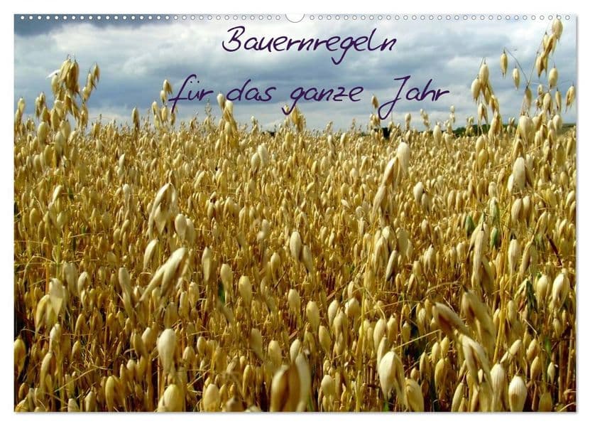 Bauernregeln für das ganze Jahr (Wandkalender 2027 DIN A2 quer), CALVENDO Monatskalender