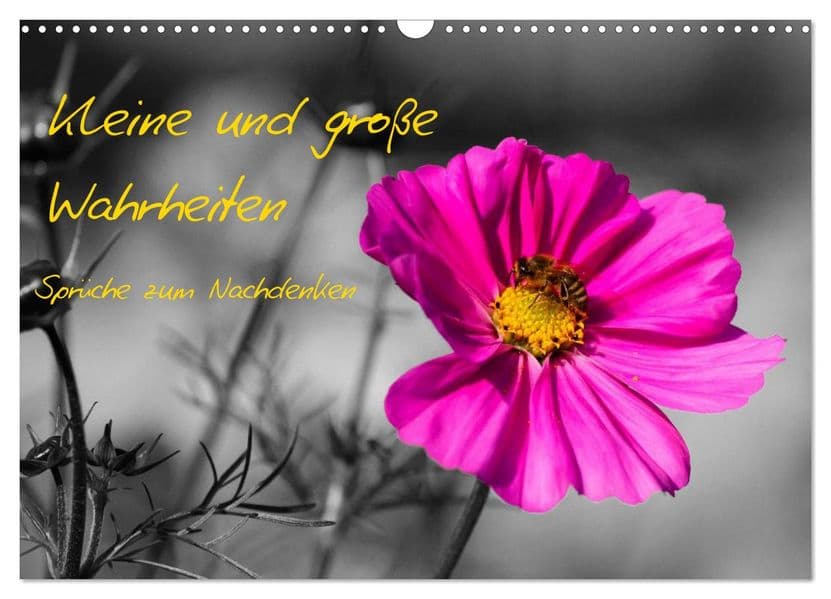 Kleine und große Wahrheiten - Sprüche zum Nachdenken (Wandkalender 2027 DIN A3 quer), CALVENDO Monatskalender