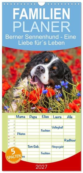 Familienplaner 2027 - Berner Sennenhund - Eine Liebe fürs Leben mit 5 Spalten (Wandkalender, 21 x 45 cm) CALVENDO