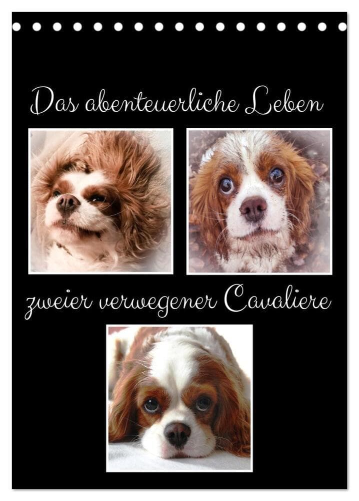 Das abenteuerliche Leben zweier verwegener Cavaliere (Tischkalender 2027 DIN A5 hoch), CALVENDO Monatskalender