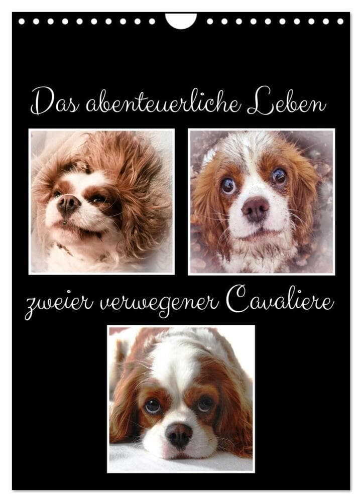 Das abenteuerliche Leben zweier verwegener Cavaliere (Wandkalender 2027 DIN A4 hoch), CALVENDO Monatskalender