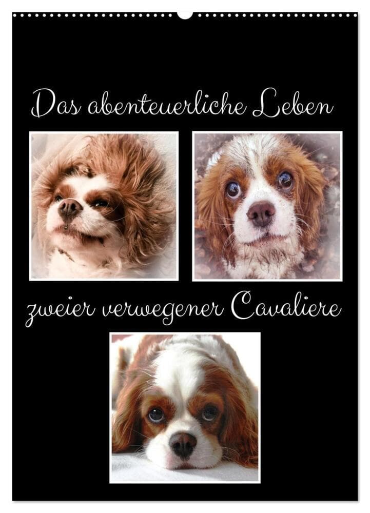 Das abenteuerliche Leben zweier verwegener Cavaliere (Wandkalender 2027 DIN A2 hoch), CALVENDO Monatskalender