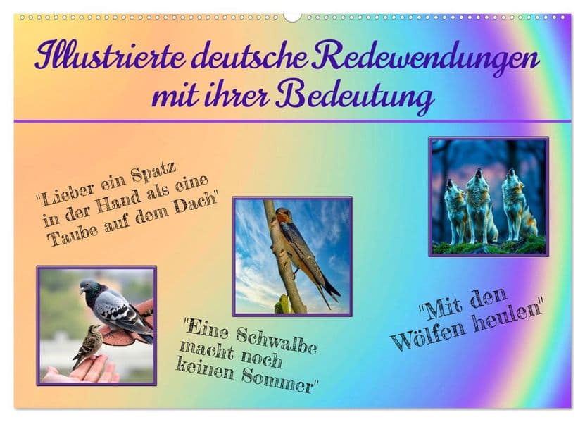 Illustrierte deutsche Redewendungen mit ihrer Bedeutung (Wandkalender 2027 DIN A2 quer), CALVENDO Monatskalender