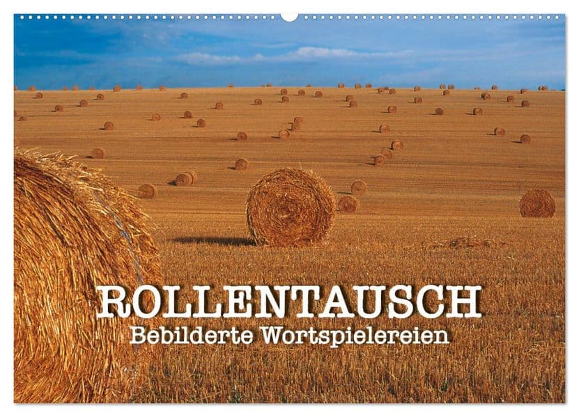 Rollentausch - Bebilderte Wortspielereien (Wandkalender 2027 DIN A2 quer), CALVENDO Monatskalender