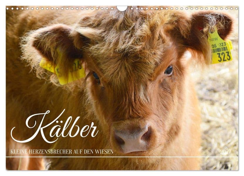 Kälber - Kleine Herzensbrecher auf den Wiesen (Wandkalender 2027 DIN A3 quer), CALVENDO Monatskalender