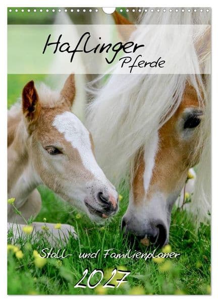 Haflinger Pferde - Stall- und Familienplaner 2027 (Wandkalender 2027 DIN A3 hoch), CALVENDO Monatskalender
