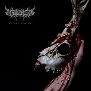 Echoes of a Forlorn Land (Bloodlust LP & LP-Bookle