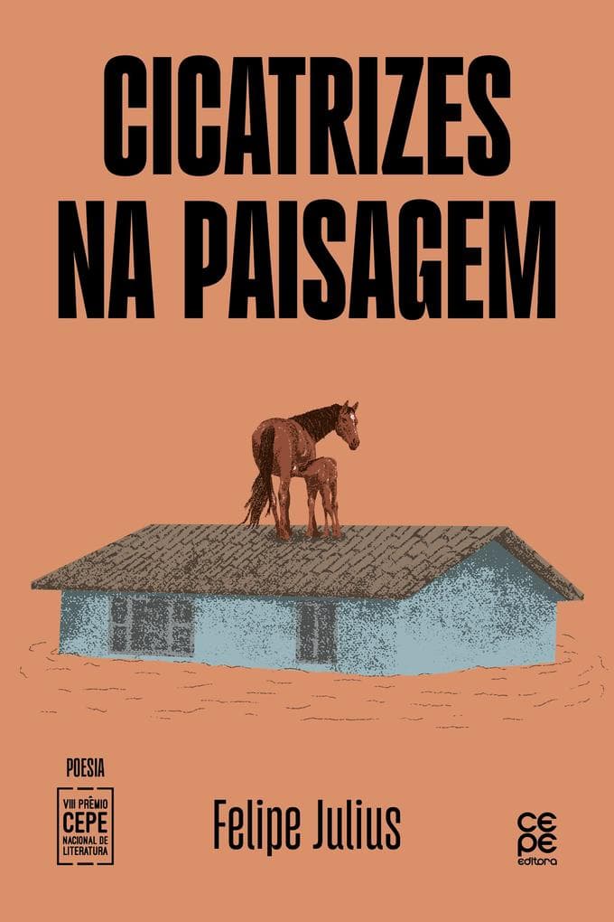 Cicatrizes na paisagem