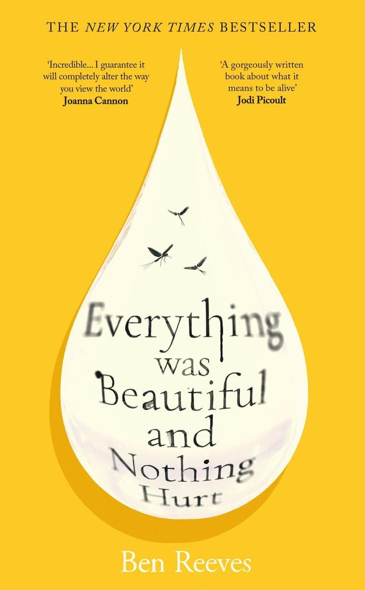 Everything was Beautiful and Nothing Hurt