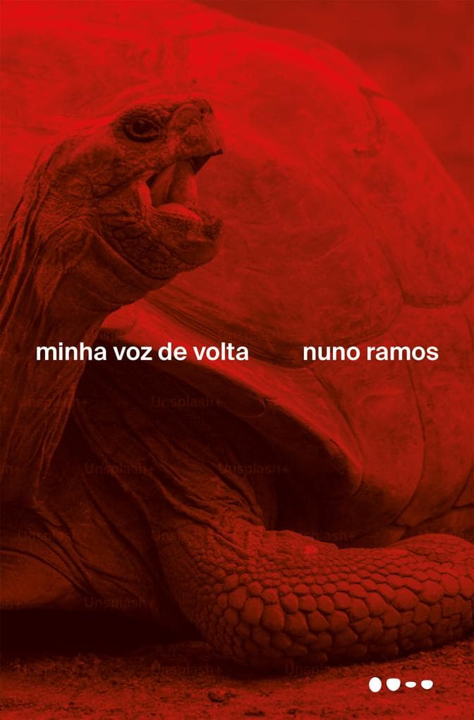 Minha voz de volta